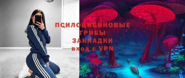 индика Алексеевка