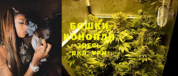 мет Новозыбков