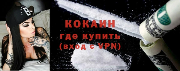 индика Алексеевка
